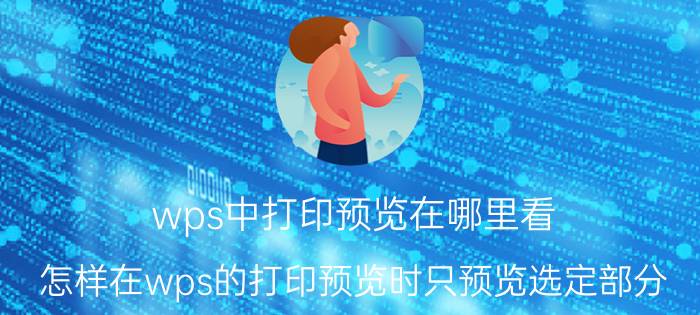 wps中打印预览在哪里看 怎样在wps的打印预览时只预览选定部分？